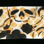 RSLCDcover02