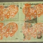RSL ArabicTiger