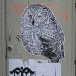 SFUHgt_Sasquatch Owl