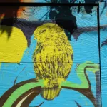 Sasquatch owl SFMission 02