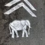 SF Clarion Alley elephant sharrow
