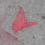 SF Clarion Alley Red Butterfly 02