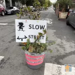 SF Lower Haight Slow Street Sign 02