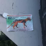 SF Upper Haight animal RIP sticker