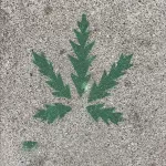 SF Upper Haight pot leaf