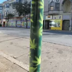 SF Upper Haight cannabis leaves on meter
