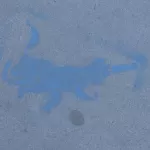 SF Divisadero Blue Object