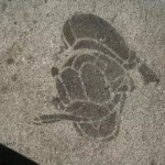 SF Haight Donald Duck