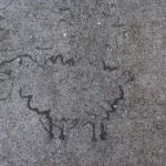 SF Lower Haight Lamb