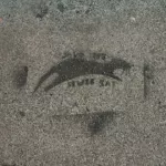 SF Lower Haight Sewer Rat 02