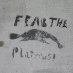 SF Lower Haight Platypus
