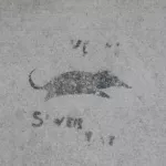 SF Lower Haight Sewer Rat