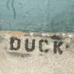 SF Lower Haight Duck