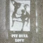 SF Lower Haight Pit Bull Love