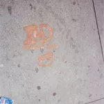 SF Upper Haight ID