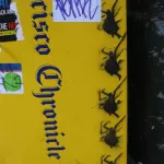 SF Upper Haight Spiders
