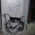 SF Upper Haight Cat Cult