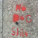 SF Upper Haight No Dog Shit 02