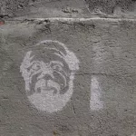 SF Precita Park bearded face