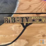 SF North Beach Ribity