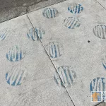 SF Pacific Heights VOTE