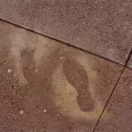SF Other shoe outline