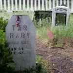 SF Presidio Pet Cemetery 01