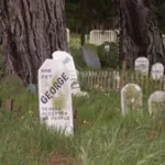 SF Presidio Pet Cemetery 02