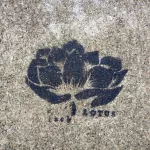 SF Japantown Geary black lotus