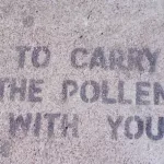 SF Castro c. 2000 to carry pollen