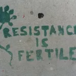 SF Valencia 2001 Resistance is Fertile