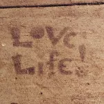 SF Valencia at 22nd 1999 Love Life