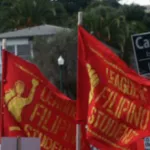 SF Protest Flags