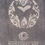 SF misc greenworks ADVERT detail 01