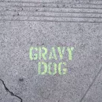 SF Fin Dist Gravy Dog