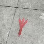 SF SoMa COVID 6ft chicken foot marker