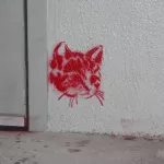 SF Richmond Dist Geary kitty