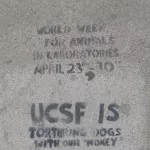 SF Ocean Beach UCSF tortures