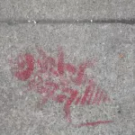 SF Richmond Dist Bug