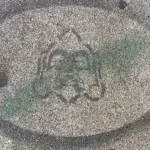 SF Tenderloin animated face