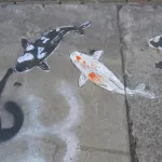 SF Tenderloin cat attacks Novy koi