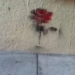 SF Hayes Valley red rose on a wall