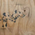SF Castro Dalmatians