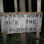 SF Castro Dont Pick Flowers