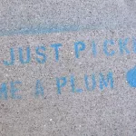 SF Castro Picked Plum