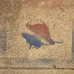 SF Mission rat and pigeon