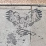 SF Mission 18th owl
