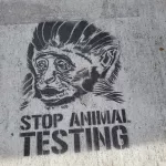 SF Mission 22nd St Stop Animal Testing