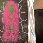 SF Mission Caledonia St Carrot shaped