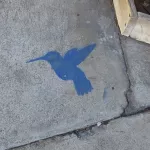 SF Mission Hummingbird 02